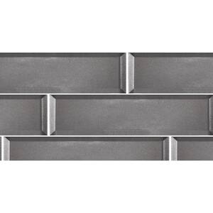 Secret Dimensions Silver Beveled Subway 4 in. x 16 in. Glossy Glass Decorative Wall Tile (0.444 sq. ft./Piece)