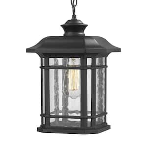 14 in. 1-Light Black Outdoor Pendant Light with Seeded Glass and Bulb (Not Included)