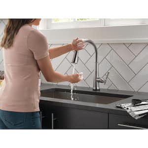 Emmeline Single-Handle Pull-Down Sprayer Kitchen Faucet with Touch2O and ShieldSpray in Lumicoat Arctic Stainless