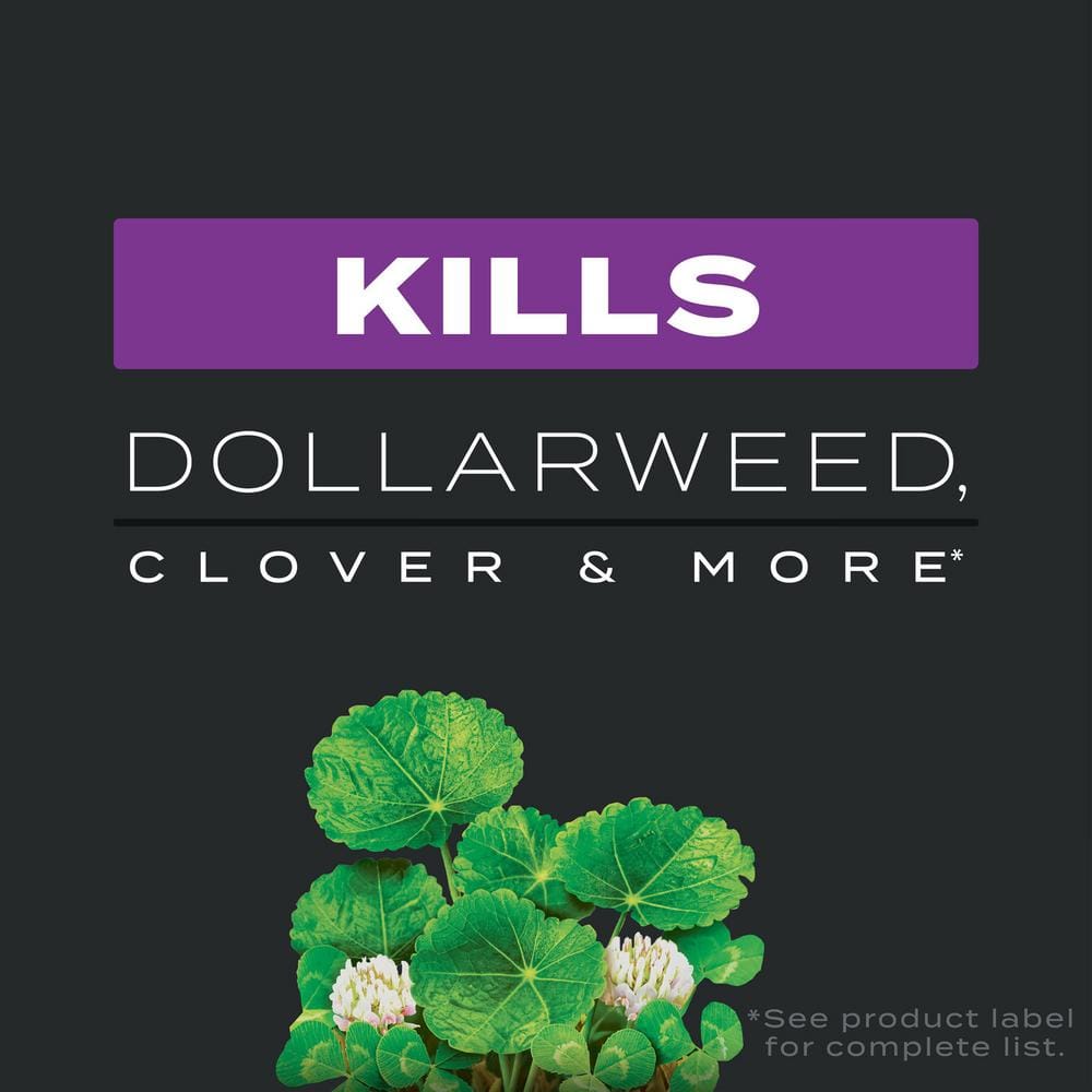 Imagen de producto 3