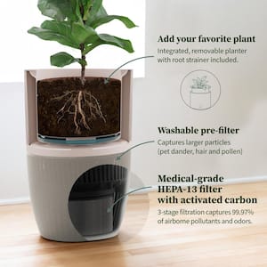 Bloom HEPA-13 Air Purifier with Planter, AutoDetect to Remove Dust, Smoke, Bacteria, Allergens and Odors - 1517 sq. ft.