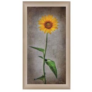 Sunflower I Brown by Unknown 1 Piece Framed Graphic Print Nature Art Print 21 in. x 12 in. .