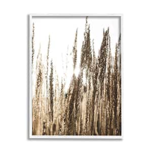 Light Ray though Wheat Field Design by Susan Ball Framed Nature Art Print 14 in. x 11 in.