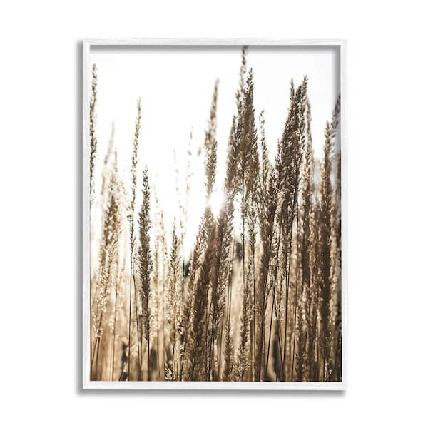 The Stupell Home Decor Collection Light Ray though Wheat Field Design by Susan Ball Framed Nature Art Print 14 in. x 11 in.