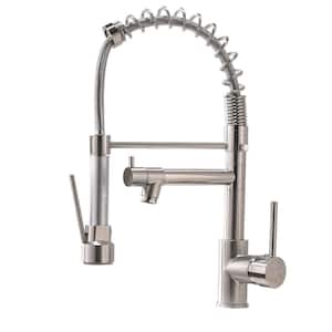Single-Handles 2-Spout Pull Down Sprayer Kitchen Faucet in Brushed Chrome