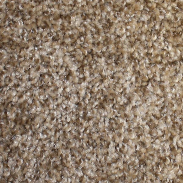 TrafficMaster Carpet Sample - First Base - Color Ace Twist 8 in. x 8 in.