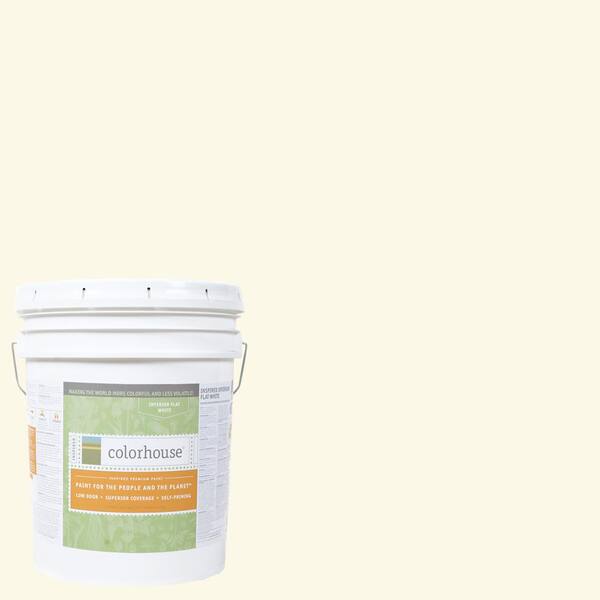 Colorhouse 5 gal. Air .01 Flat Interior Paint