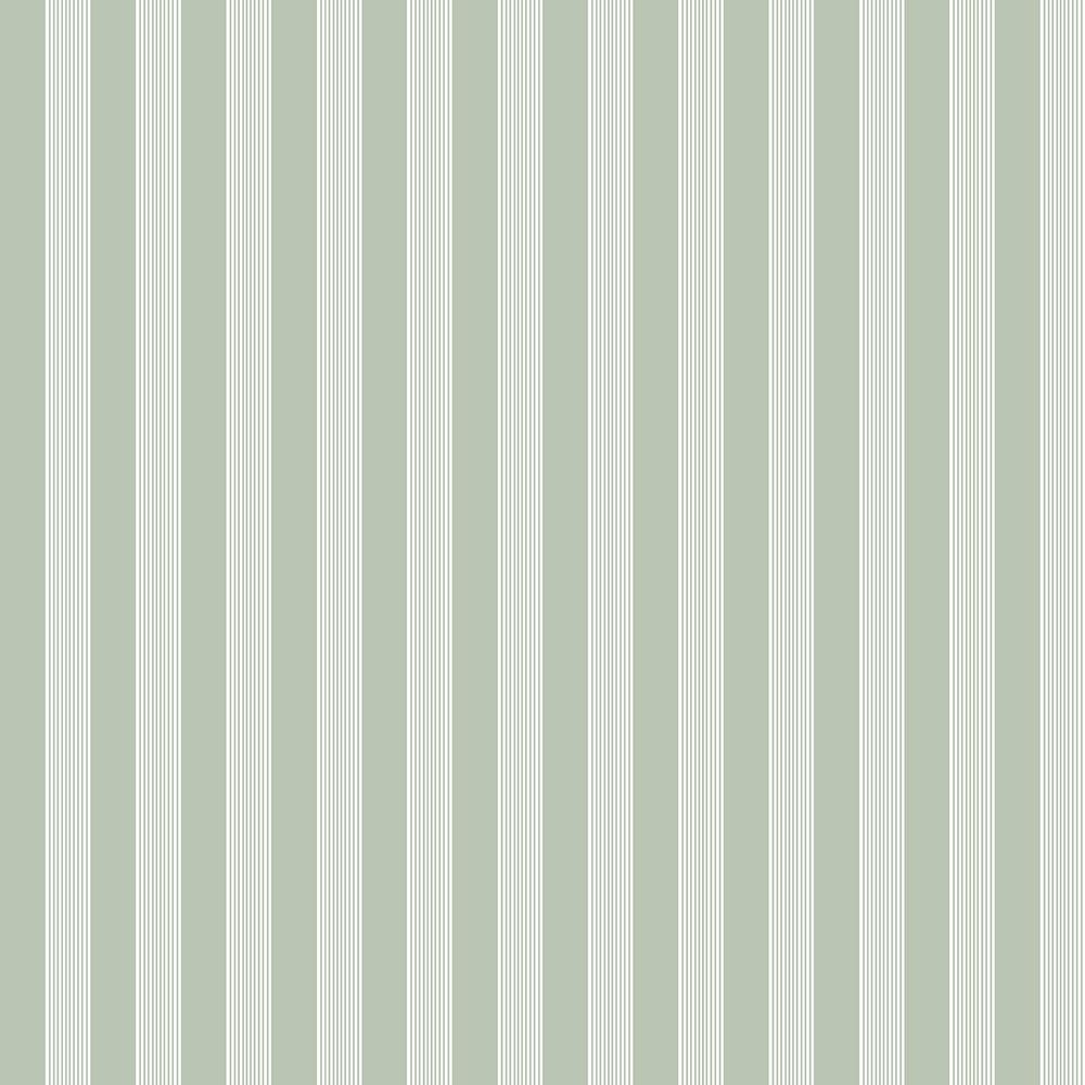 Little Explorers 2-Green Vertical Ribbon Stripe Matte Finish Non-Pasted Non