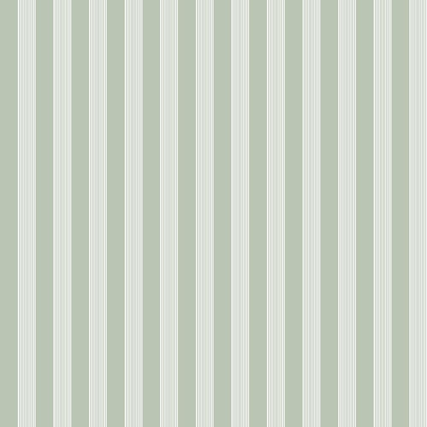 Unbranded Little Explorers 2-Green Vertical Ribbon Stripe Matte Finish Non-Pasted Non-Woven Wallpaper Sample