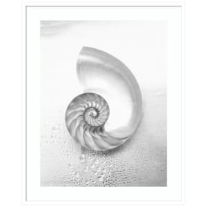 "Pearl Nautilus Shell Cut In Half" 1-Piece Wood Framed Black and White Nature Photography Wall Art 41 in. x 33 in.