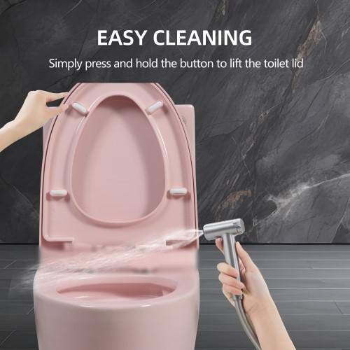 Rose Pink Ceramic Dual Flush Elongated One-Piece Toilet