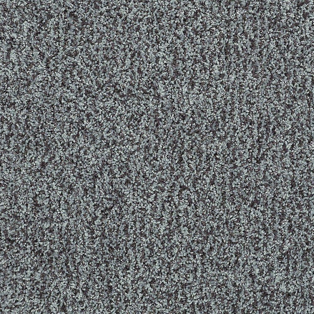 8 in. x 8 in. Twist Carpet Sample - Charming - Color Roadway price history on PriceWatchPro