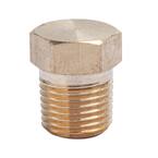 JONES STEPHENS 2 in. Brass Countersunk Heavy Pattern Cleanout Plug 2-3/ ...