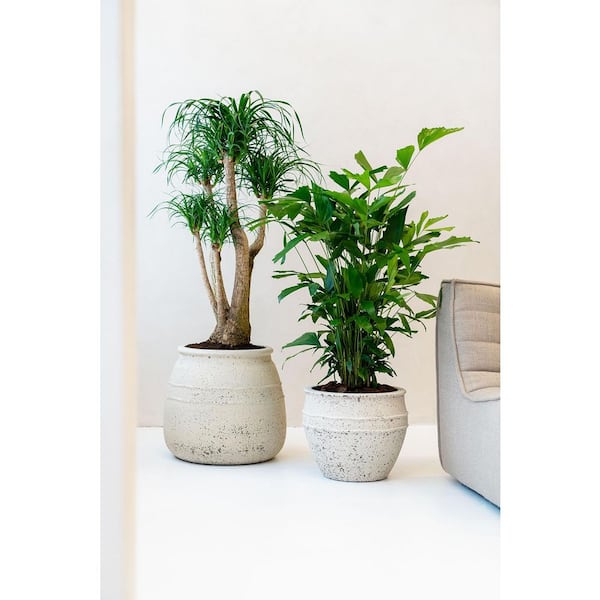 Pottery Pots 18 in H Hestia L Fiberstone Mediterranean Planter