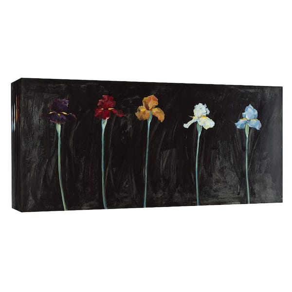 PTM Images 10 in. x 12 in. ''Midnight Irises'' Printed Canvas Wall Art