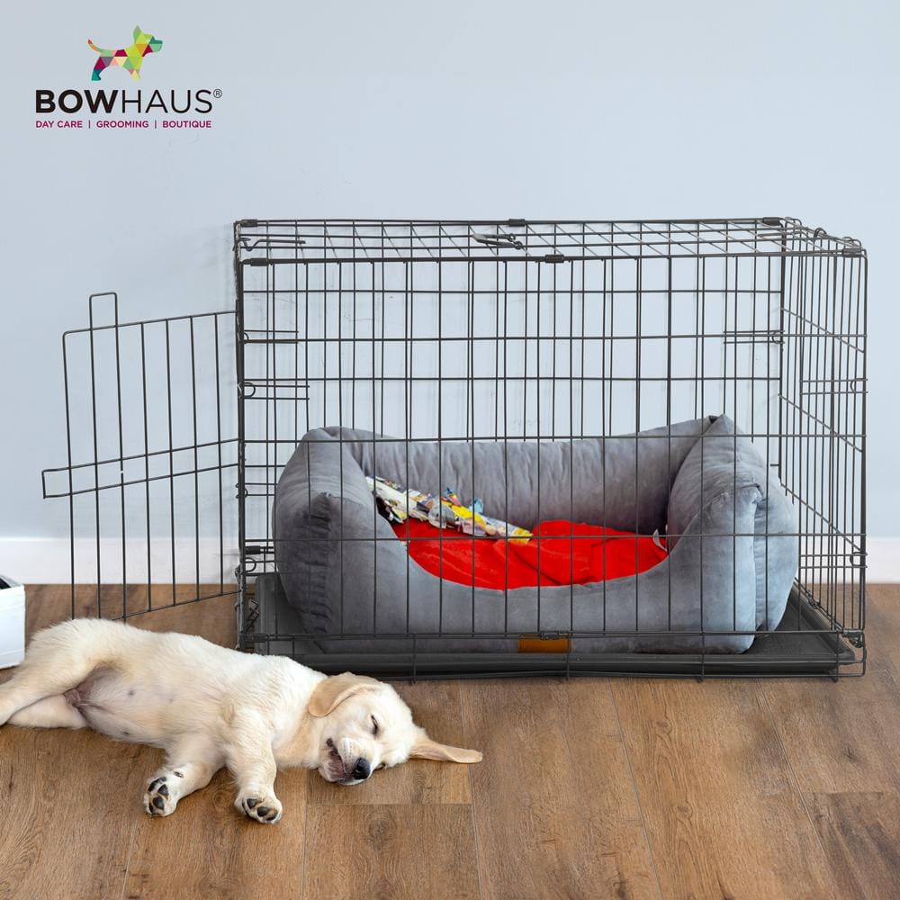 Medium Black Metal Foldable Dog Cage with Lock