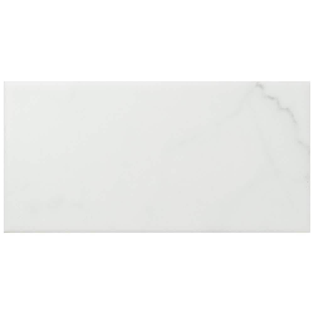 Classico Carrara Matte 3 in. x 6 in. Ceramic Wall Take Home Tile Sample price history on PriceWatchPro