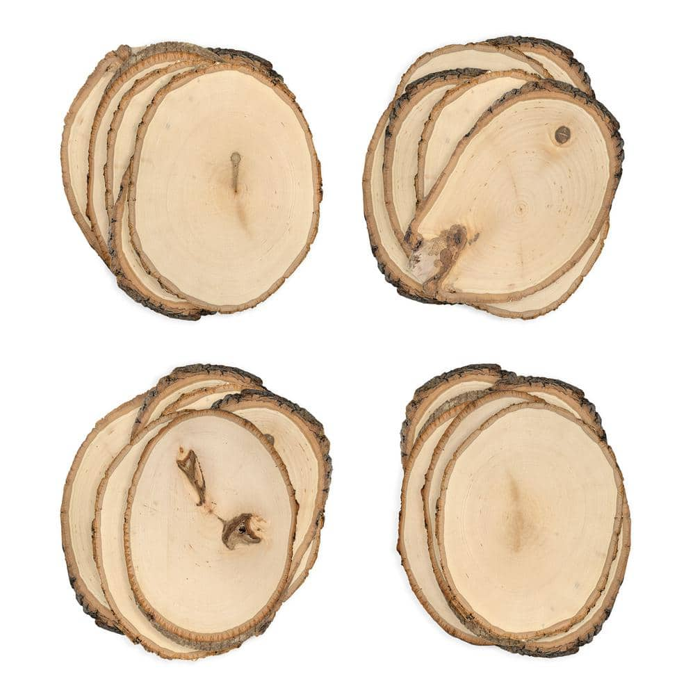 Walnut Hollow 1 in. x 6 in. x 6 in. Rustic Basswood Small Round Live Edge Project Panel (24-pack)