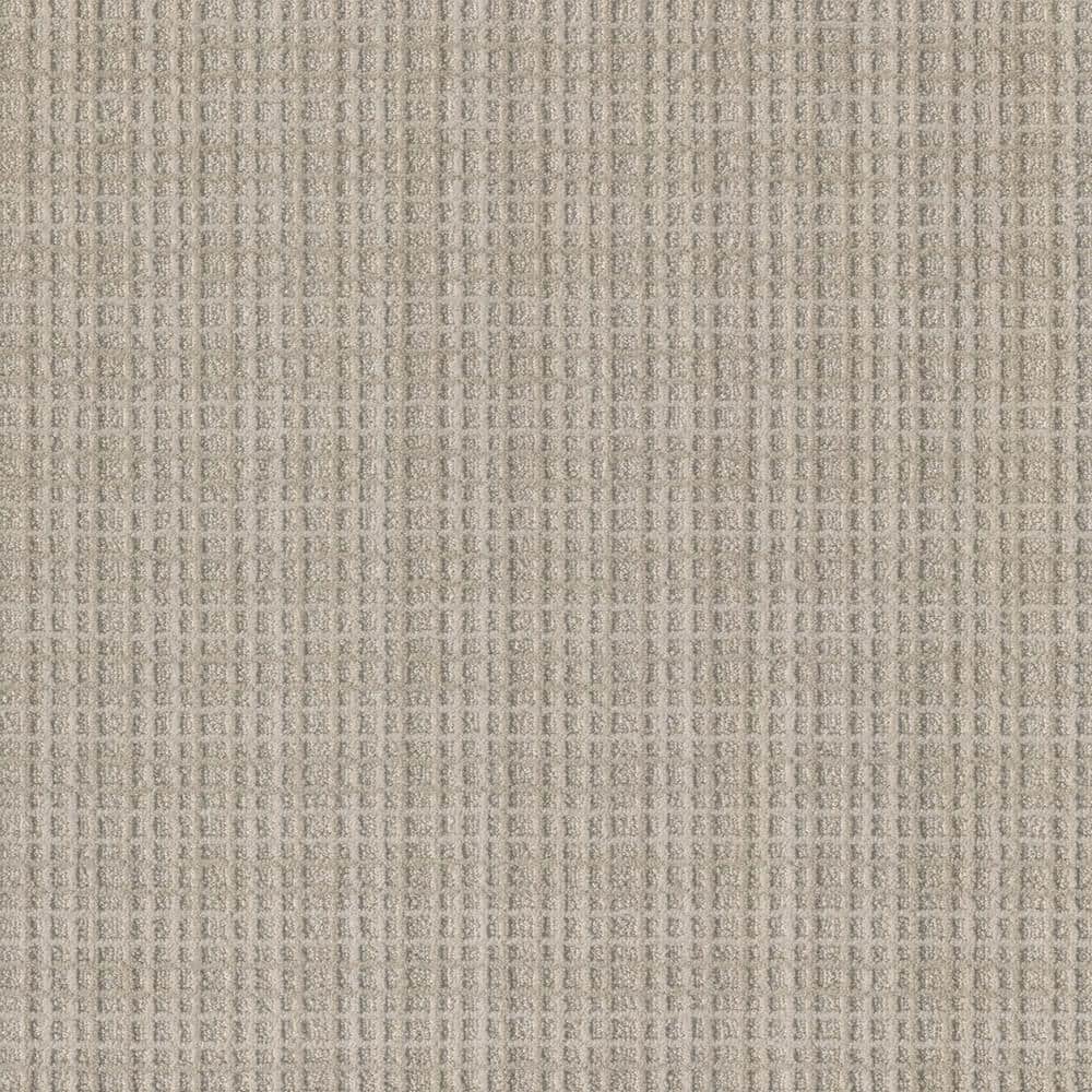8 in. x  8 in. Loop Carpet Sample - Rosedale -Color May price history on PriceWatchPro