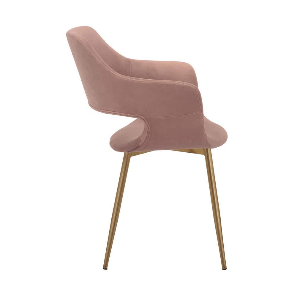 Elegant Pink Velvet Upholstered Arm Chair with Gold Metal Legs