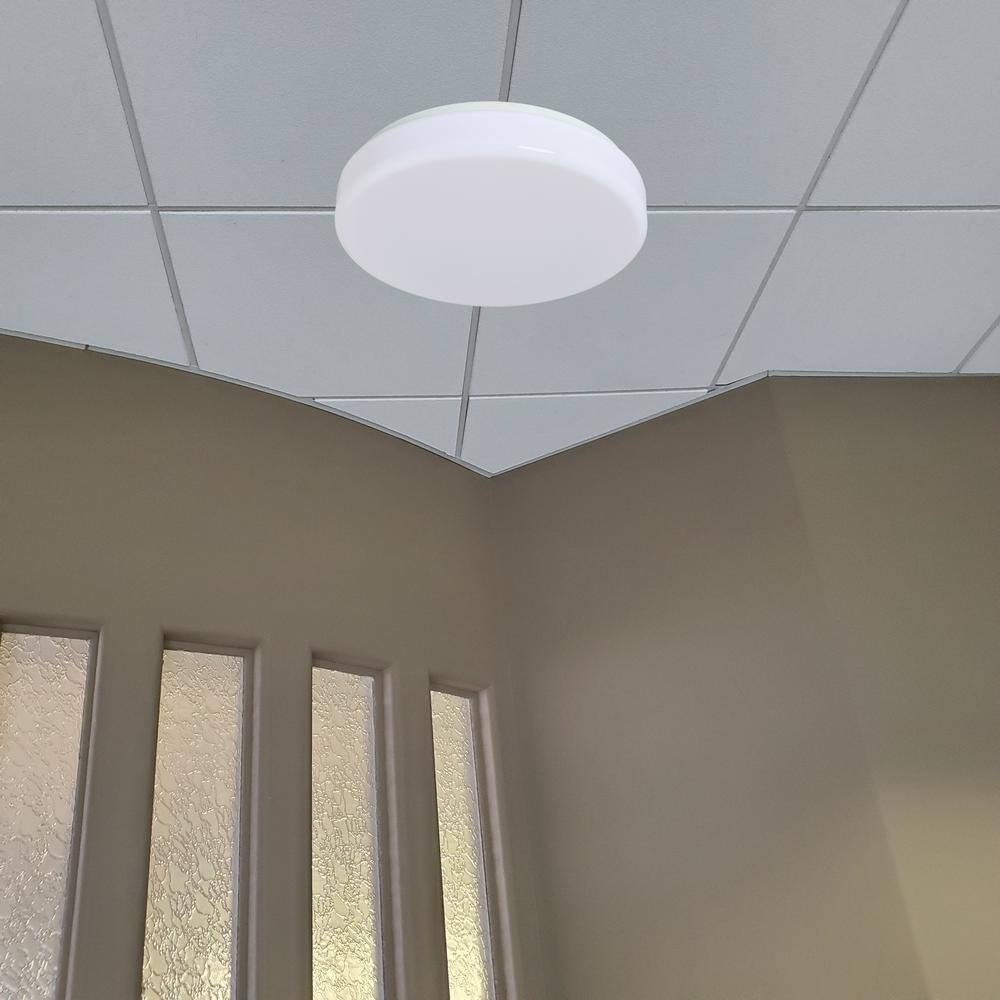 Cool White 11" Glass Drum LED Ceiling Light