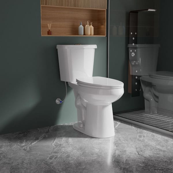 19 in. Tall Elongated Toilet in White Dual Flush 1.1/1.6 GPF 2-Piece with Senior-Friendly Access Design
