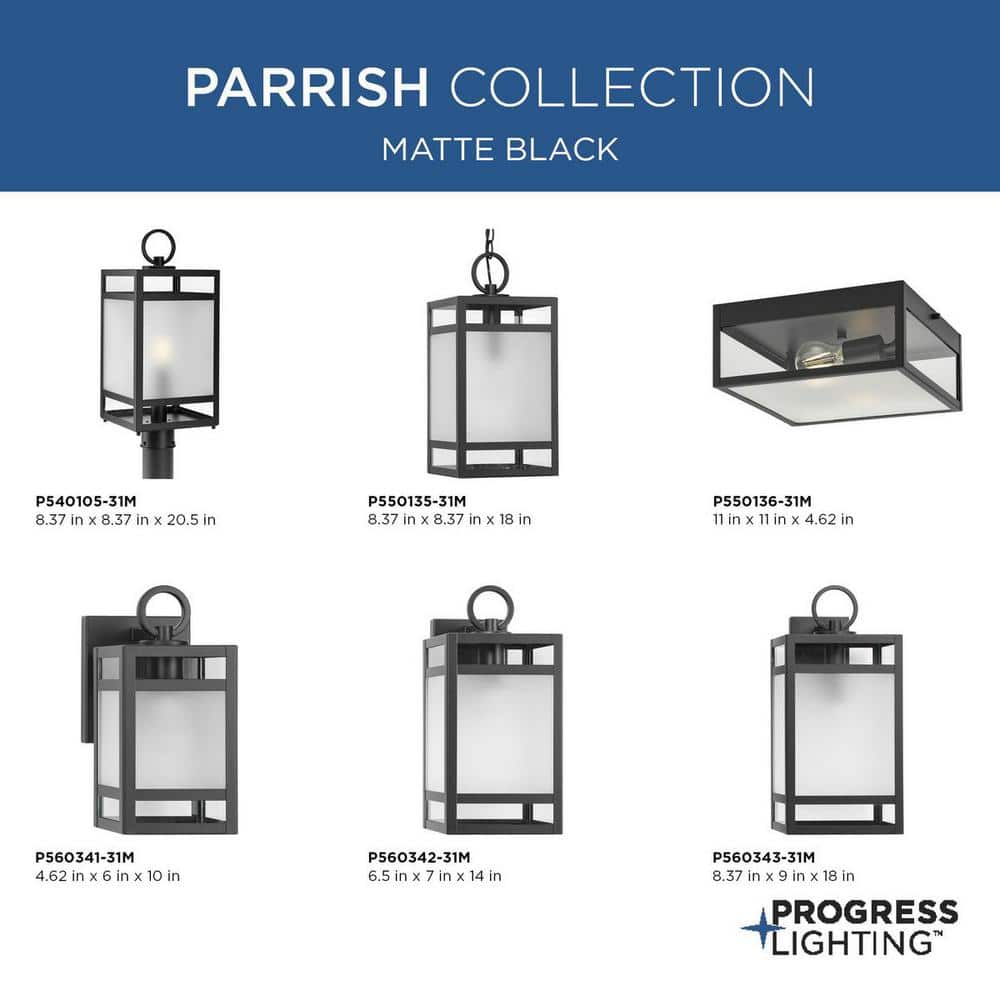 Parrish Matte Black Glass Outdoor Flush Mount Light