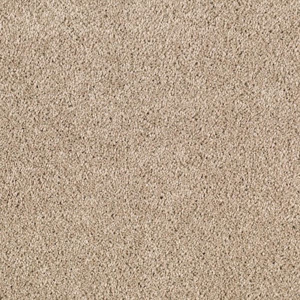 Lifeproof 8 in. x 8 in. Texture Carpet Sample - Ambrosina I -Color Taurus