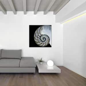 36 in. x 36 in. "Pearly Nautilus" Frameless Free Floating Tempered Glass Panel Graphic Wall Art