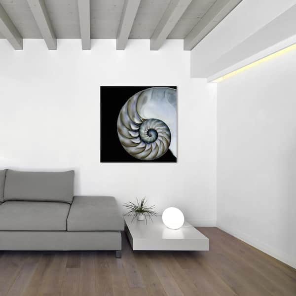 36 in. x 36 in. "Pearly Nautilus" Frameless Free Floating Tempered Glass Panel Graphic Wall Art