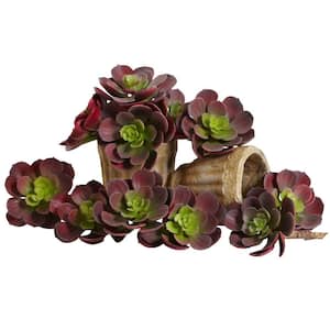 5 in. Artificial Echeveria Succulent Plant (Set of 12)