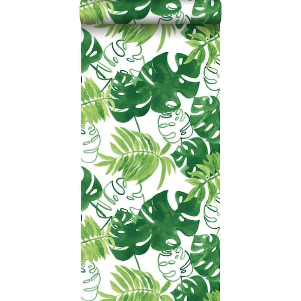 A-Street Prints CABARITA Green Art Deco Leaves Green Wallpaper Sample  2969-87354SAM - The Home Depot