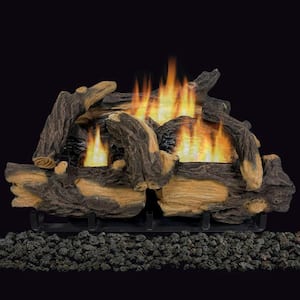 24 in. Vent-Free Dual Fuel Gas Fireplace Logs with Remote Control