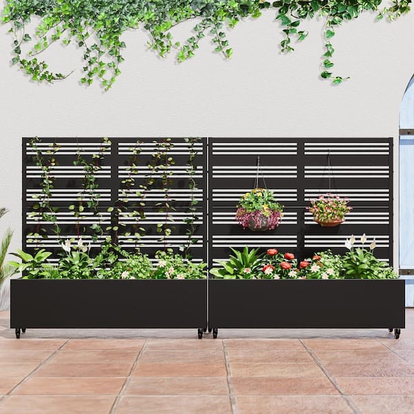 Set of 2-49 in. x 16 in. x 47 in. Black Metal Iron Planter Box with Attached Trellis for Climbing Vegetation