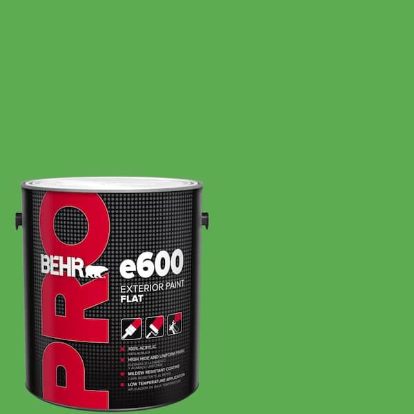 BEHR PRO 1 gal. #440B-6 Barnyard Grass Flat Exterior Paint
