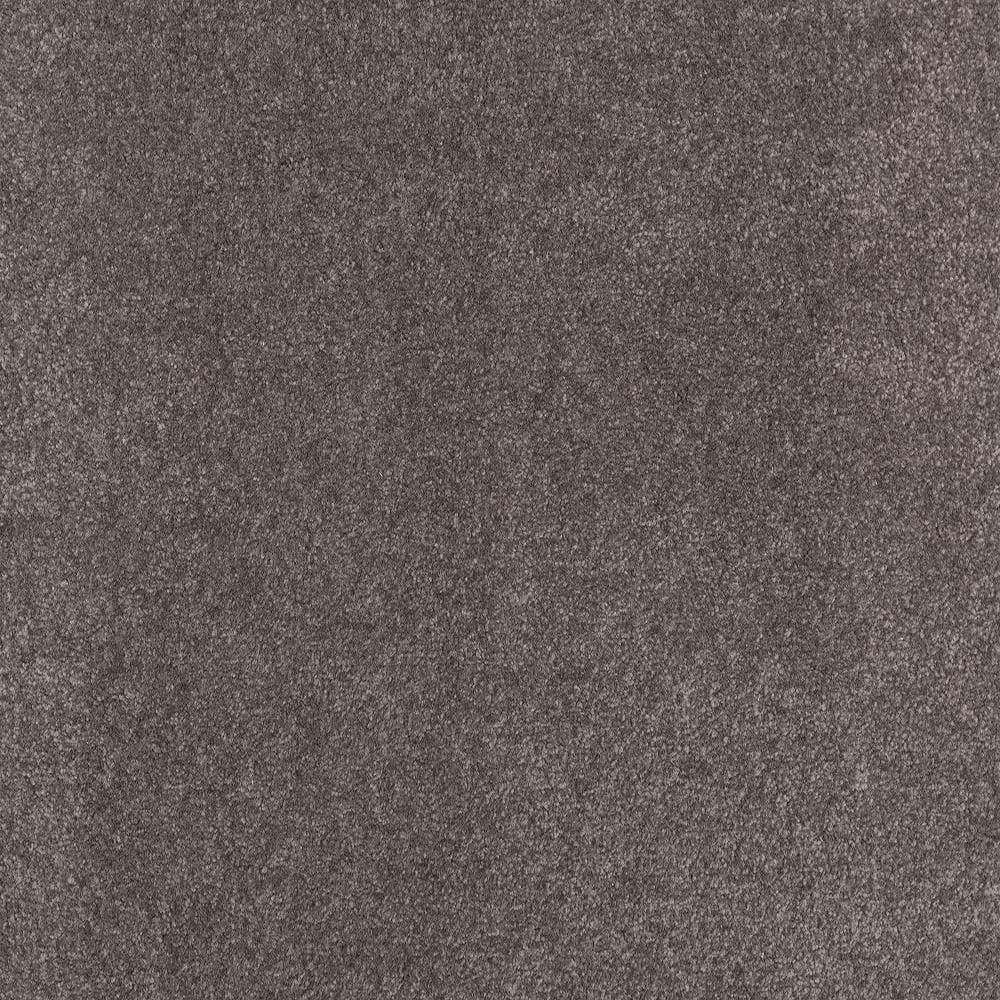 8 in. x 8 in. Texture Carpet Sample - Waking Up I - Color Stone price history on PriceWatchPro