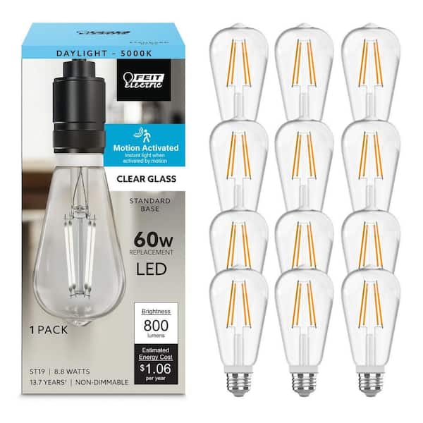 Feit Electric 60-Watt Equivalent ST19 Edison Vintage Filament