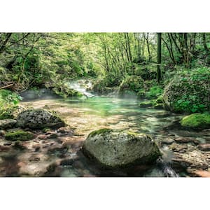 Riverbed Wall Mural