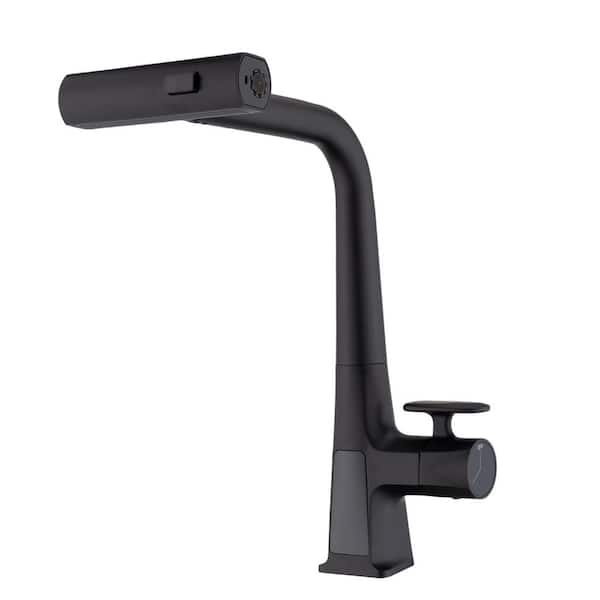 Single Handle 15.75 in. LED Temperature Display Pull Out Sprayer Kitchen Faucet with 360° Swivel Spout in Matte Black