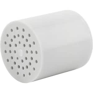 Shower Head Water Filtration System with Lasting High Output for Reduces Chlorine & Toxins, Child Safe in White