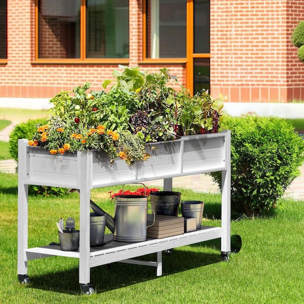 DEXTRUS 46 in. x 17 in. x 31 in. HIPS Plastic Raised Garden
