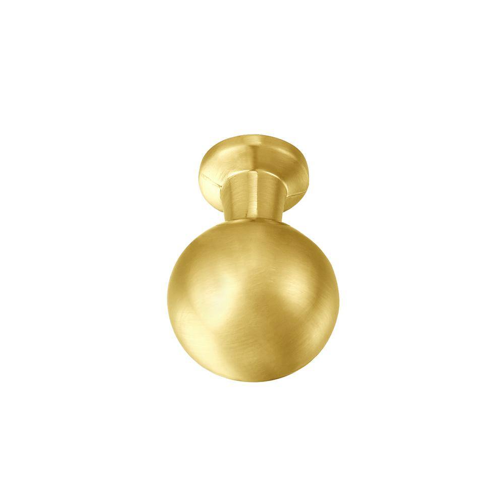 Brushed Brass Round Cabinet Knob with Mounting Hardware