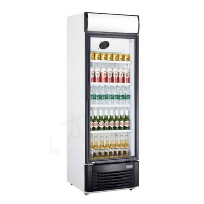 Buy Wholesale China Two Glass Door Cooler Drink Display, Stand Up