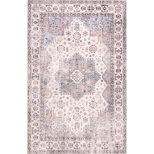 Sharyn Traditional Vintage Cotton Rust 8 ft. x 9 ft. Area Rug
