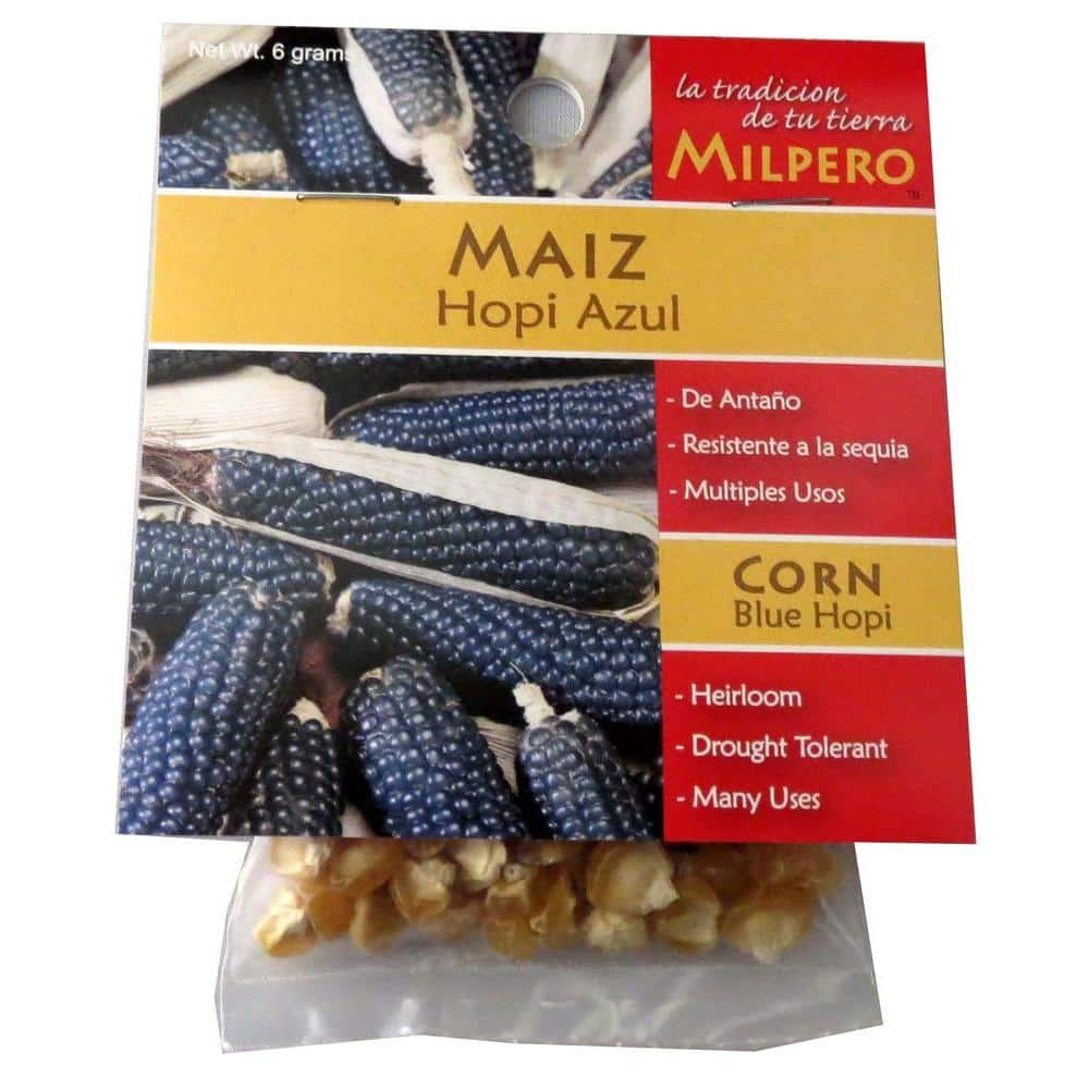 Milpero Hopi Blue Corn Seed 6 The Home Depot