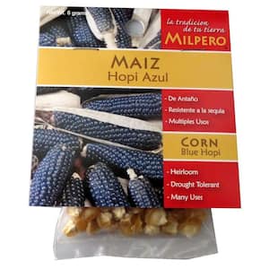 Hopi Blue Corn Seed