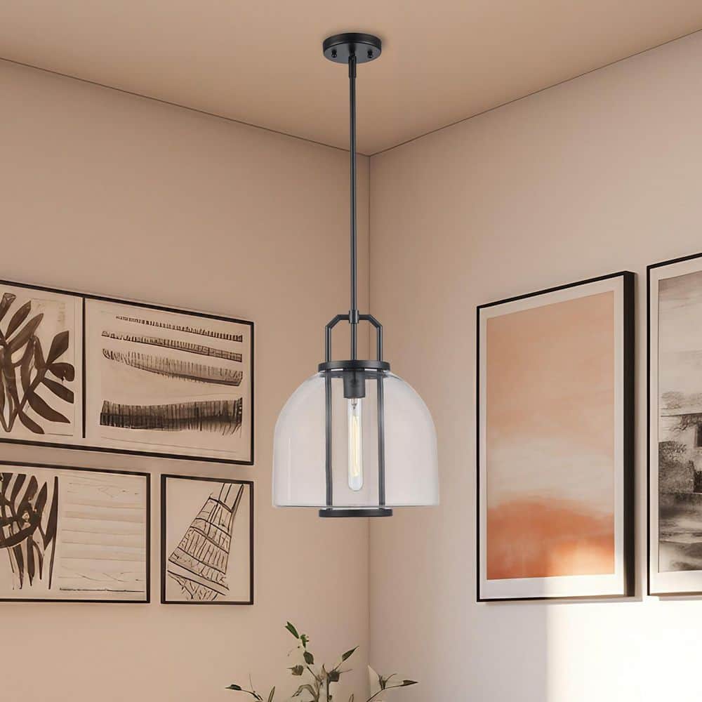 Rhapsody 11.75 in. 1-Light Black Pendant Light Fixture with Clear Glass Shade price history on PriceWatchPro