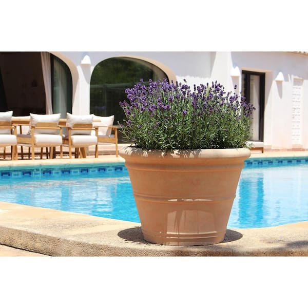 plant climber trellis H Potter Architectural Estate Obelisk Trellis for Climbing Plants (87.75")