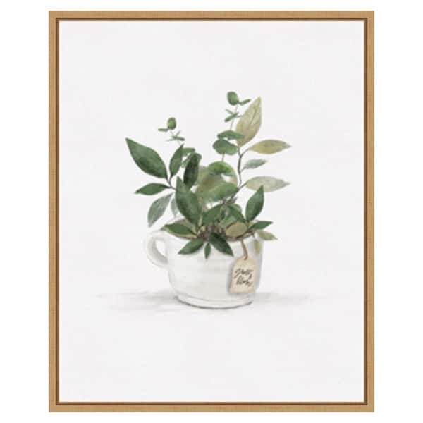 Amanti Art Botanical Mug I by Hm Design 23-in. W x 28-in. H. Canvas Wall Art Print Framed in Brown