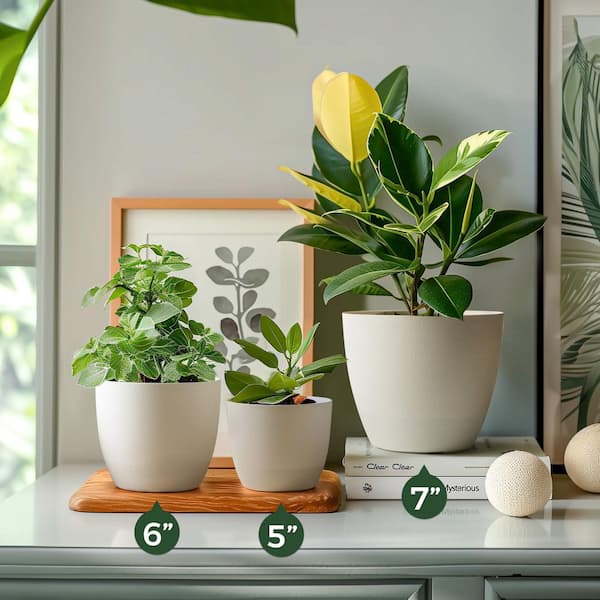 Misopily 6 in. L x 6 in. W x 5 in. H White Indoor/Outdoor Plastic